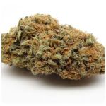 Шишки AK47 (Гидропоника, Бошка) VHQ в Выксе Шишки AK47 (Гидропоника, Бошка) VHQ в Выксе